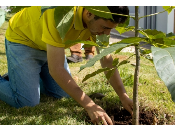 GOVERNO MUNICIPAL REALIZA SEMANA DO MEIO AMBIENTE COM PLANTIO DE IPÊS E FRUTÍFERAS